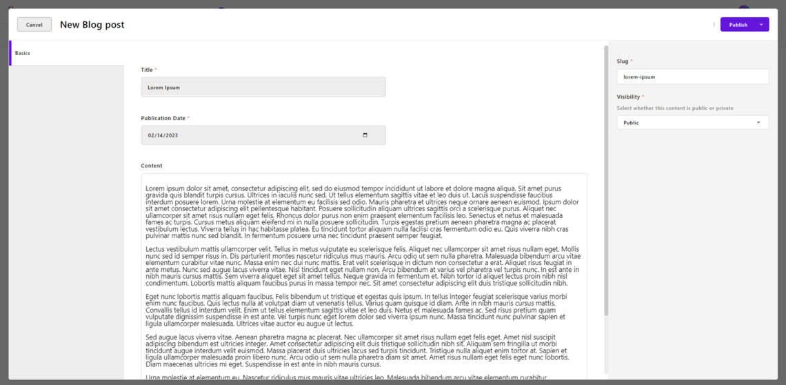 blog post content field